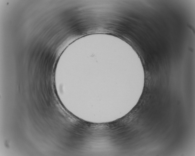 X0000103471187200810241006