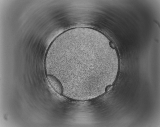 X0000103471189200810241006