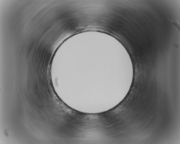 X0000103471190200810241006