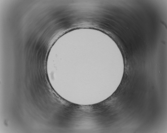 X0000103471191200810241006