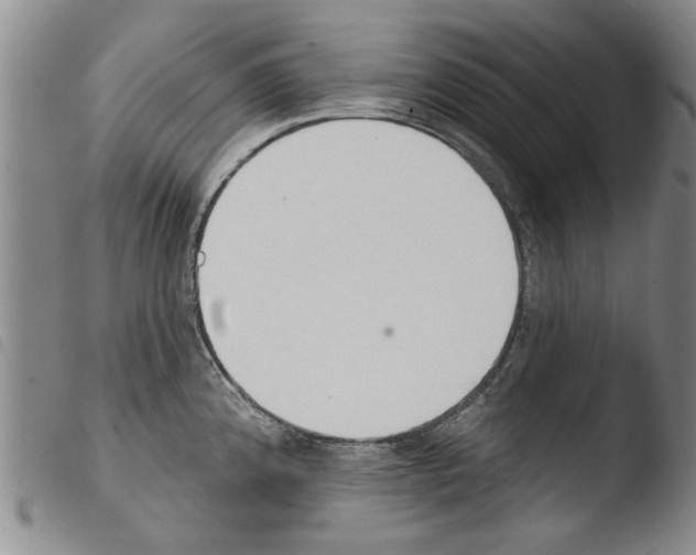X0000103471192200810241006