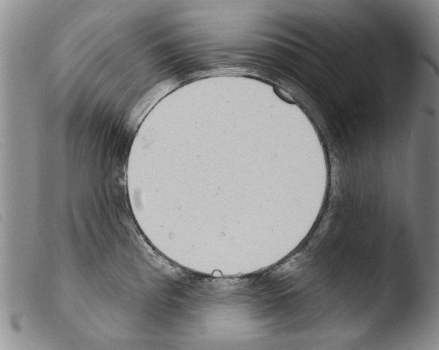 X0000103471193200810241006