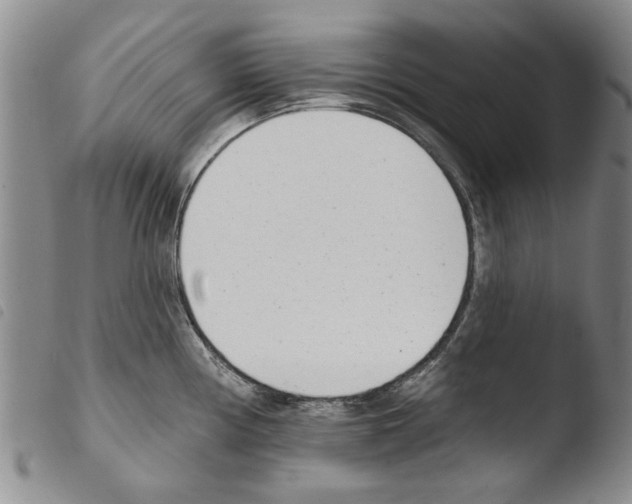 X0000103471194200810241006