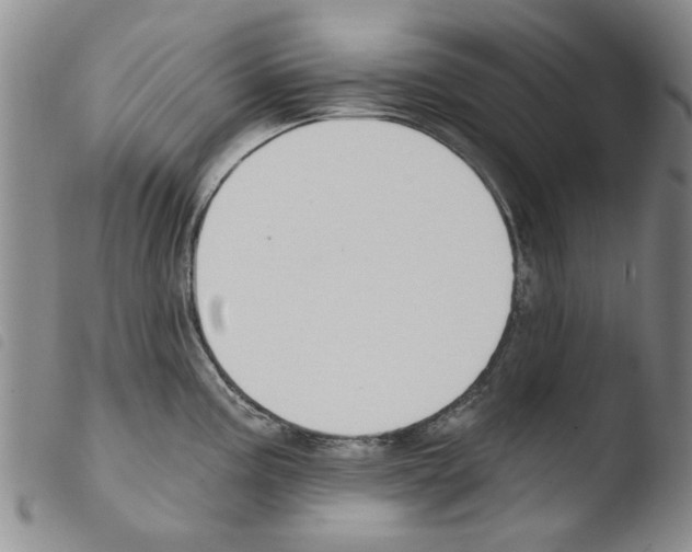 X0000103471195200810241006