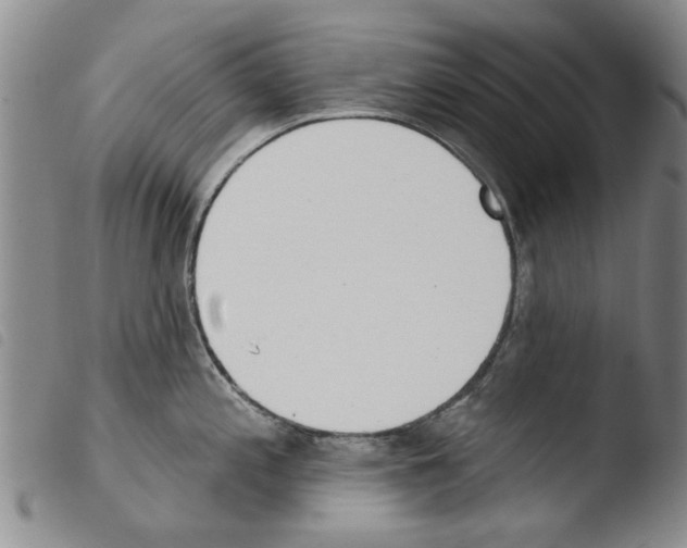 X0000103471197200810241006