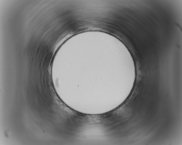 X0000103471198200810241006
