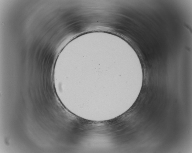 X0000103471199200810241006