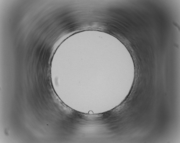 X0000103471200200810241006