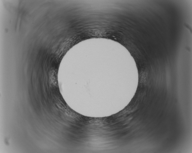 X0000103471202200810241005