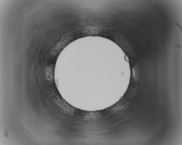 X0000103471203200810241005