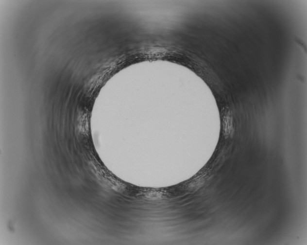 X0000103471204200810241005