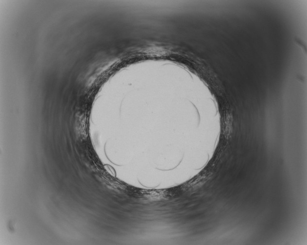 X0000103471205200810241005