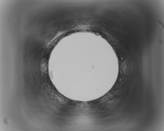 X0000103471206200810241005