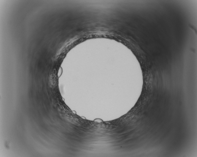 X0000103471207200810241005