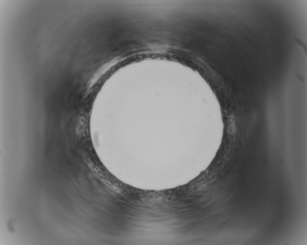 X0000103471208200810241005