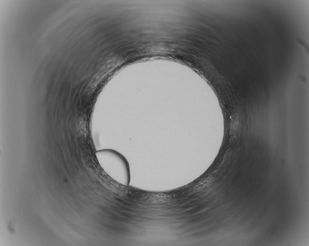 X0000103471209200810241005
