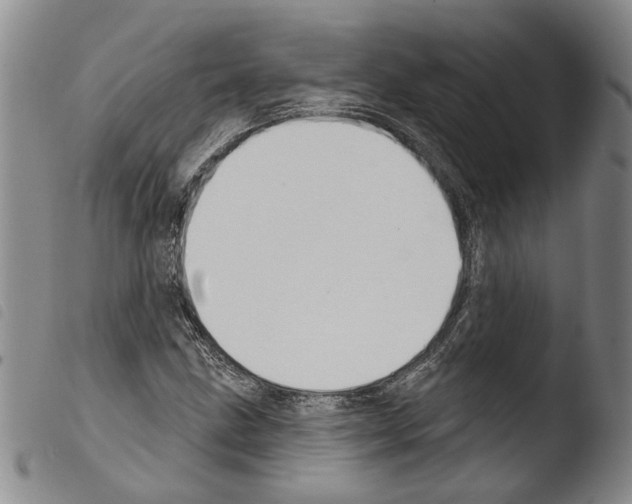 X0000103471211200810241005