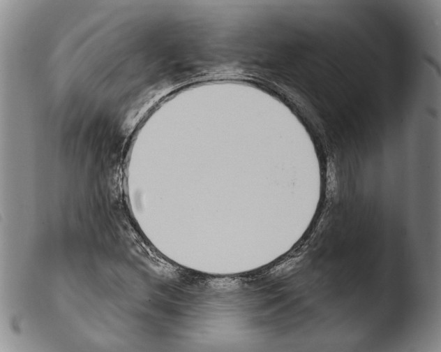 X0000103471212200810241005
