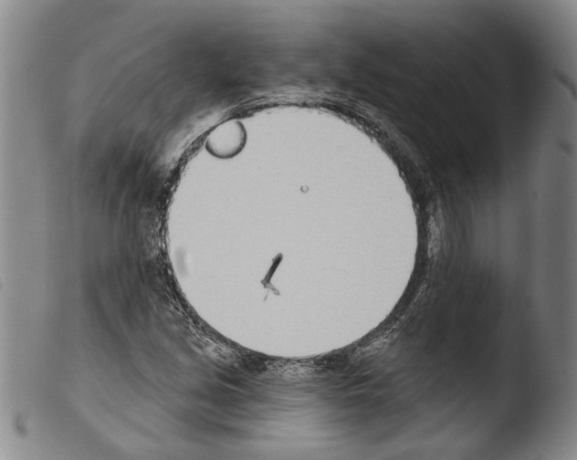 X0000103471213200810241006