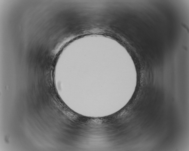 X0000103471214200810241006