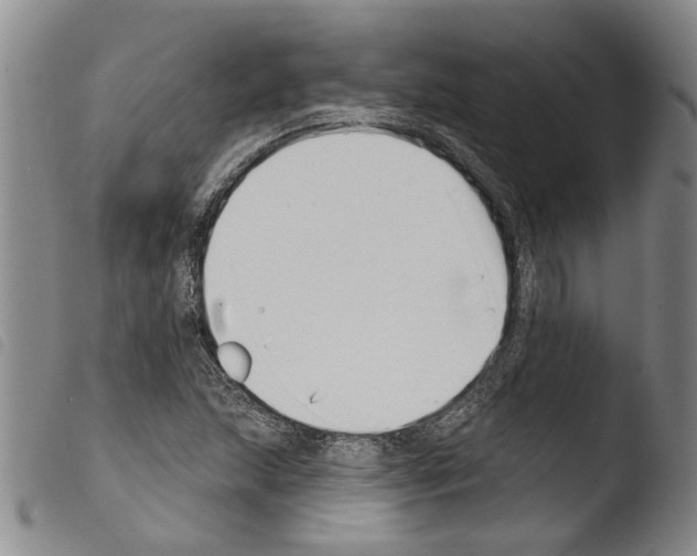X0000103471215200810241006