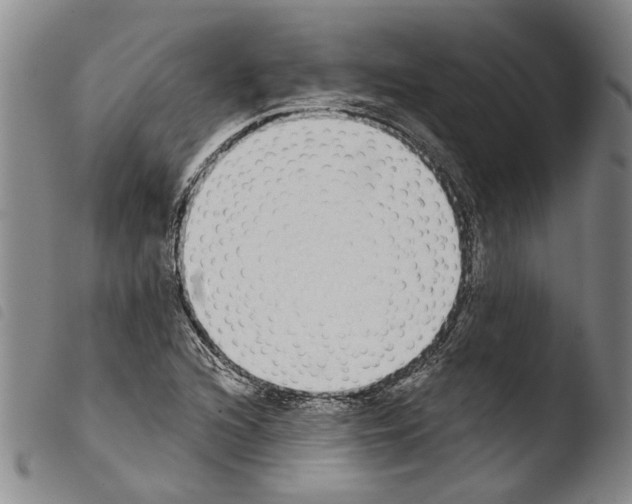 X0000103471216200810241006