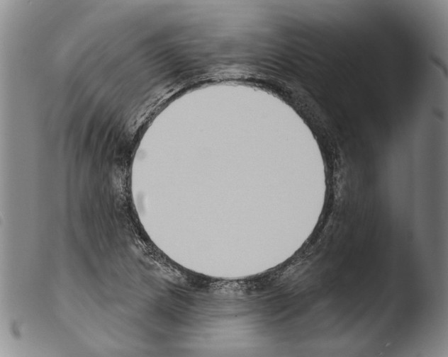 X0000103471217200810241006