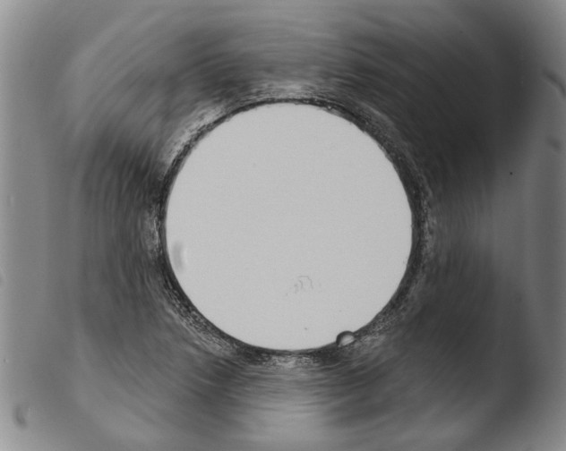 X0000103471218200810241006