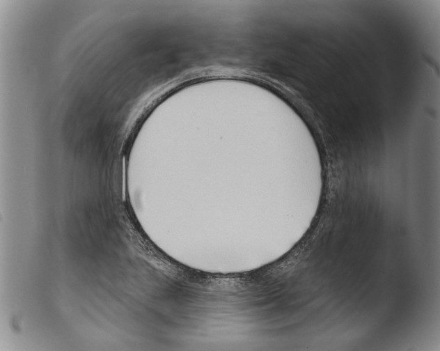 X0000103471223200810241006