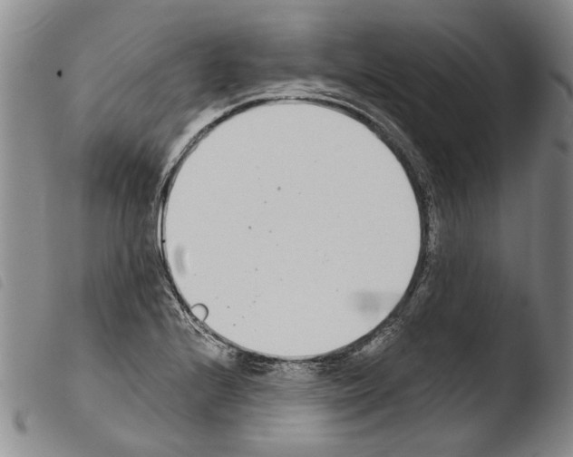 X0000103471224200810241006