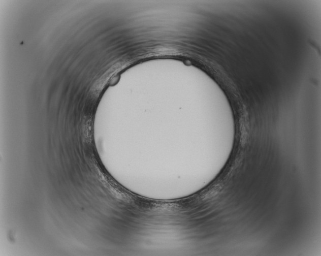 X0000103471225200810241006