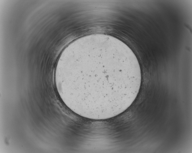 X0000103471227200810241006