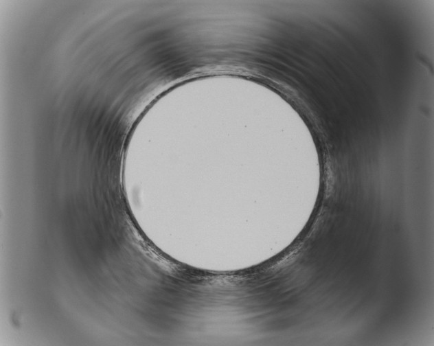 X0000103471228200810241006