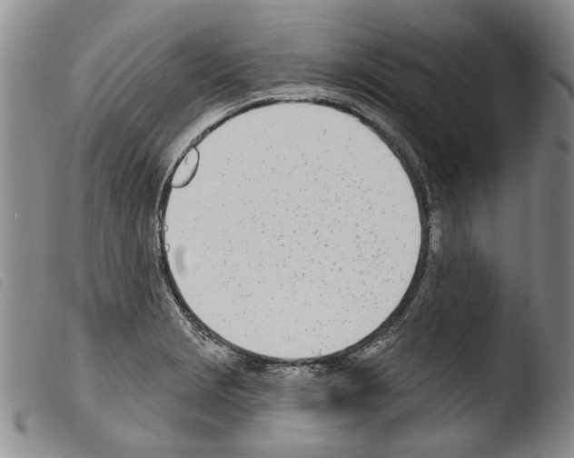 X0000103471229200810241006