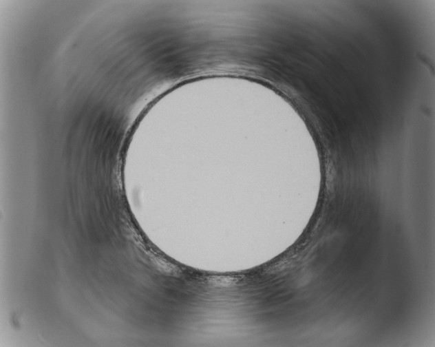 X0000103471230200810241006