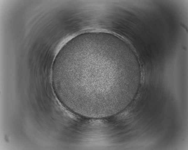 X0000103471231200810241006