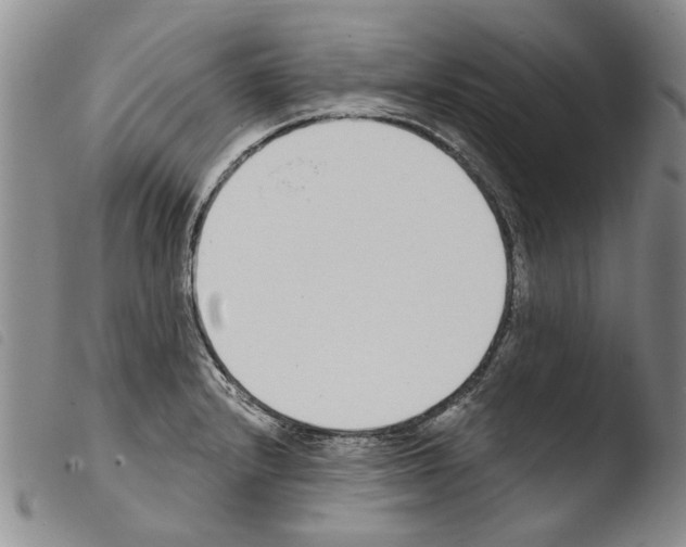 X0000103471232200810241006