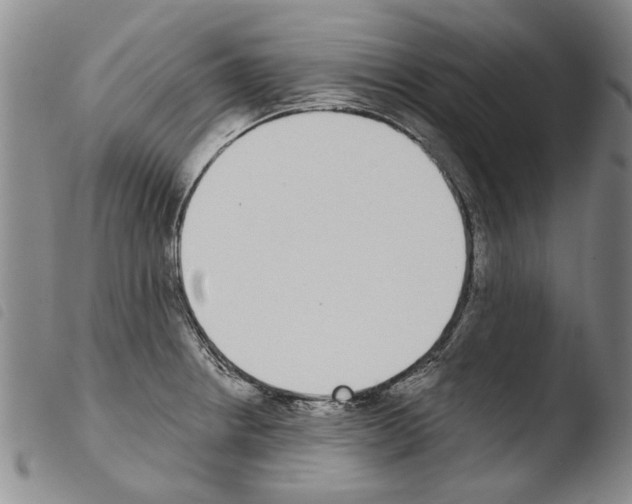 X0000103471234200810241006