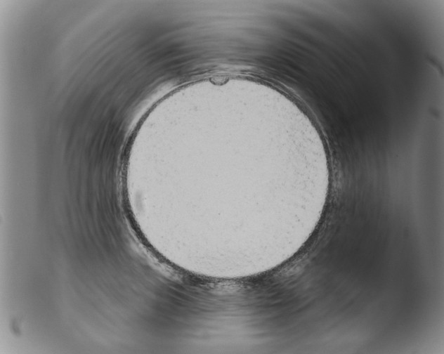 X0000103471235200810241006