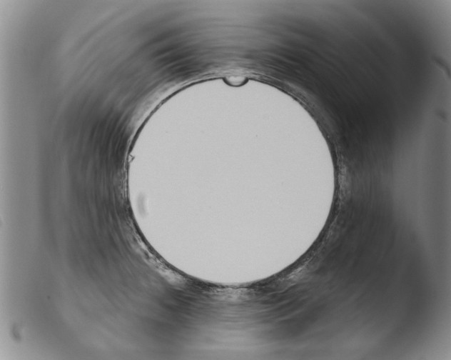X0000103471236200810241006