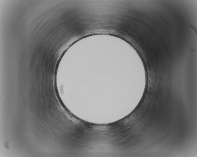 X0000103471237200810241006