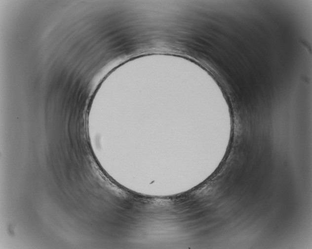 X0000103471238200810241006