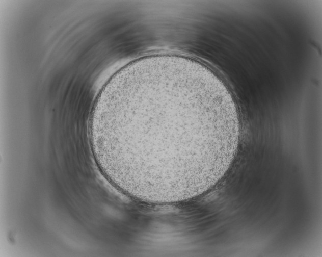 X0000103471239200810241006
