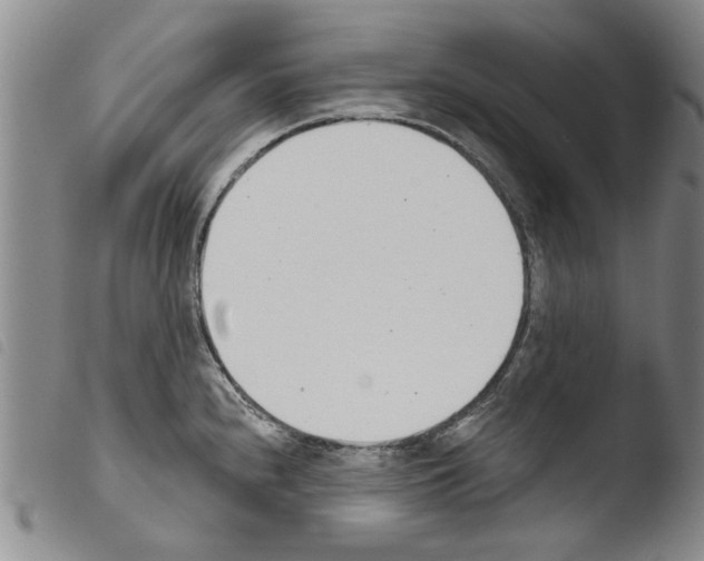 X0000103471240200810241006
