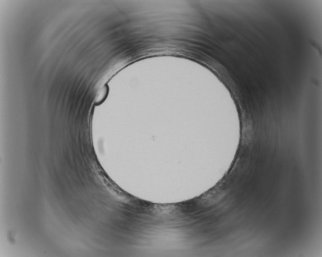 X0000103471242200810241006
