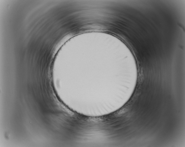 X0000103471243200810241006