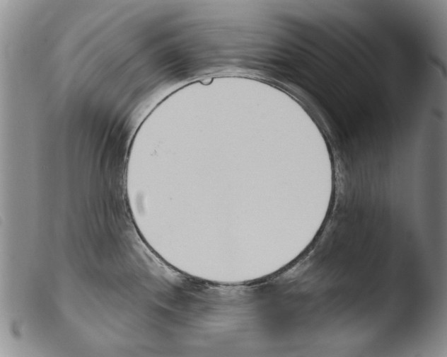 X0000103471244200810241006
