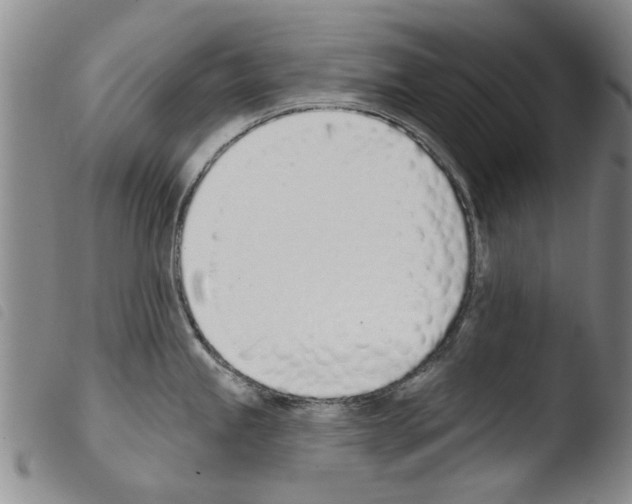 X0000103471245200810241006