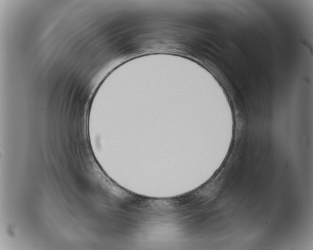 X0000103471246200810241006