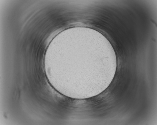 X0000103471247200810241006